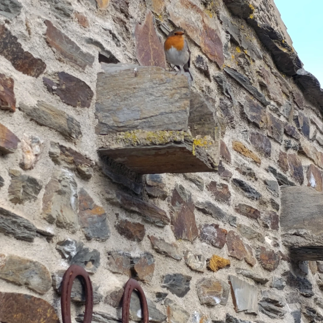 Ruta la vida secreta del Masos de Cap de Creus